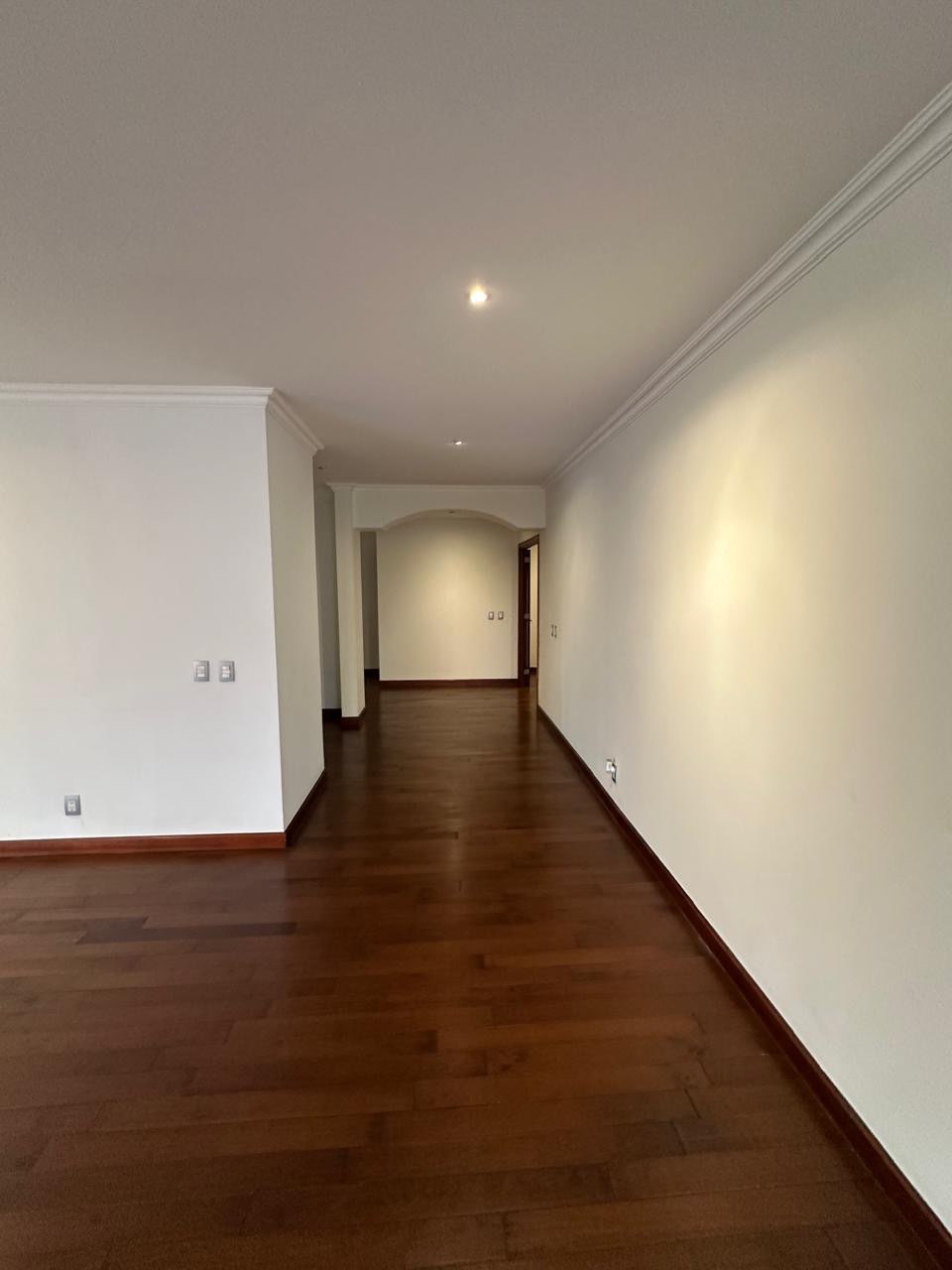 TADEUS ZONA 14 