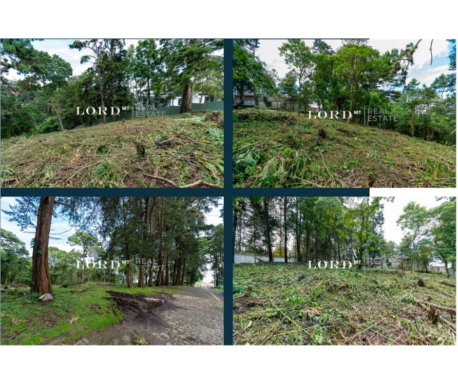TERRENO EN VENTA SANTA ROSALÍA