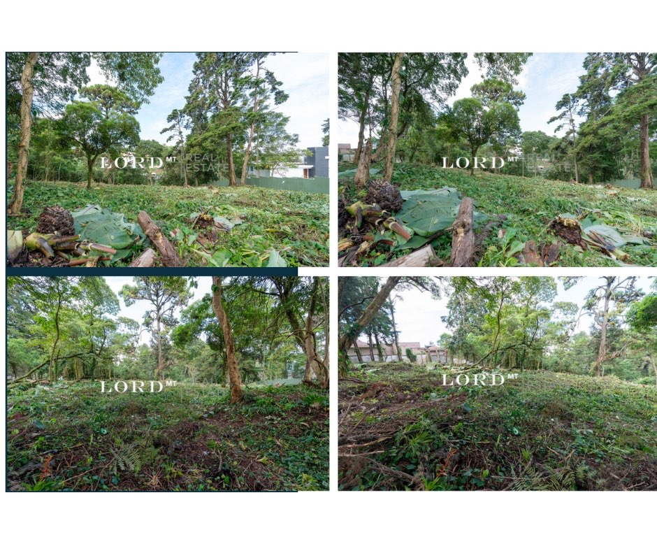 TERRENO EN VENTA SANTA ROSALÍA